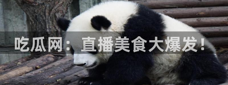 吃瓜吃瓜