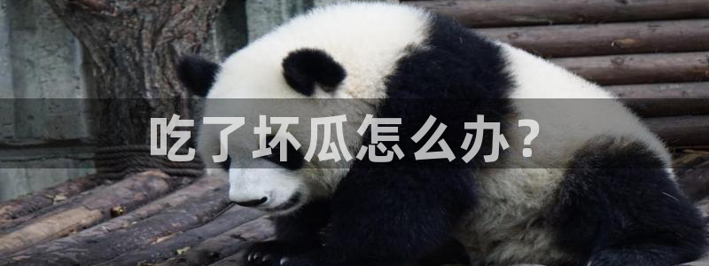 吃瓜.：吃了坏瓜怎么办？