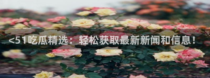 www.吃瓜.com