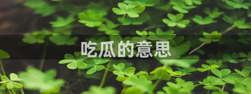 板栗瓜怎样做最好吃：吃瓜的意思