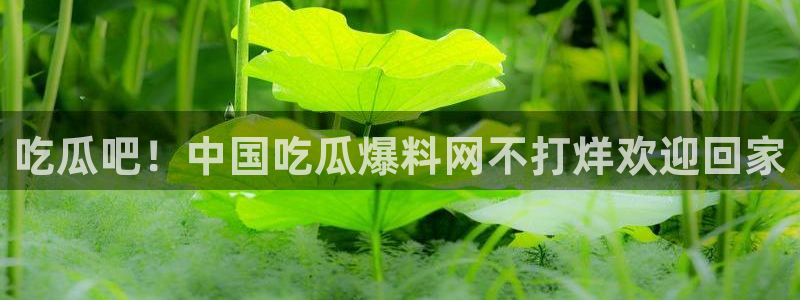 吃瓜吃到自己头上：吃瓜吧！中国吃瓜爆料网不打烊欢迎回家