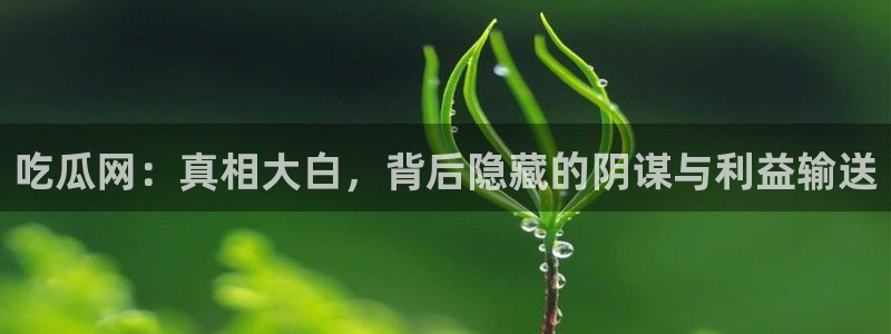 58吃瓜今日吃瓜入口：吃瓜网：真相大白，背后隐藏的阴谋与利益输送