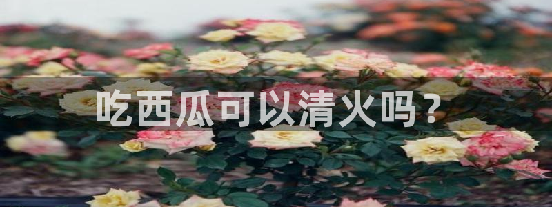 51cg吃瓜今日吃瓜热门大瓜：吃西瓜可以清火吗？