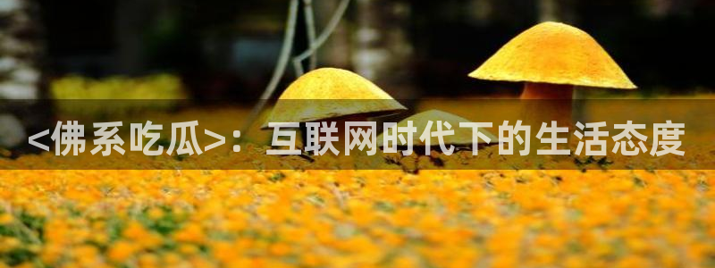 51吃瓜张津瑜：<佛系吃瓜>：互联网时代下的生活态度