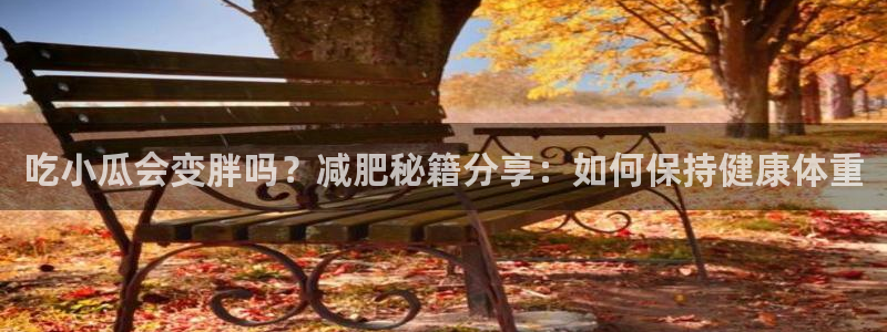 51吃瓜全网更新最快