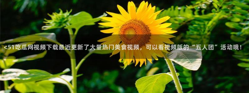 板栗瓜怎样做最好吃