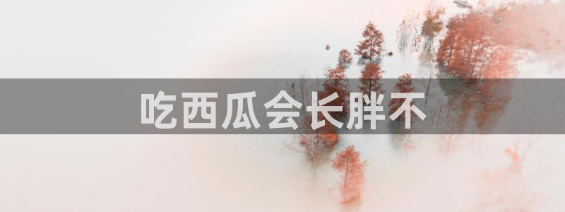 吃瓜是什么意思