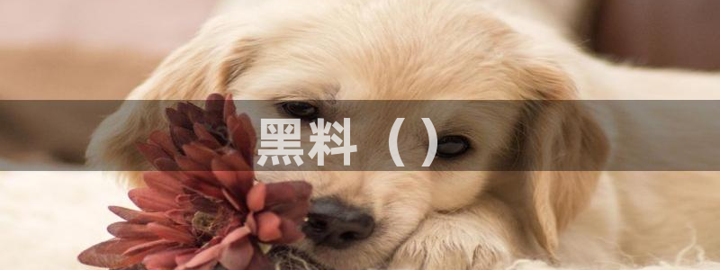 51国产吃瓜在线今日吃瓜：黑料（）
