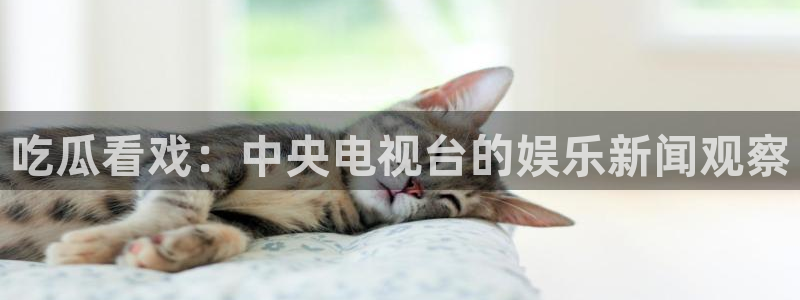国产精品韩日中出吃瓜：吃瓜看戏：中央电视台的娱乐新闻观察