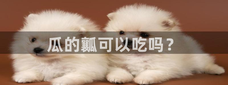 吃瓜小说：瓜的瓤可以吃吗？