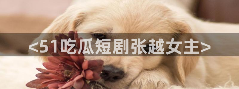 51cg1.ct吃瓜：<51吃瓜短剧张越女主>